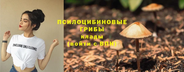 прущие крисы Баксан