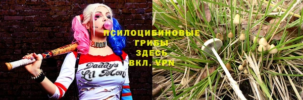 ГАЛЛЮЦИНОГЕННЫЕ ГРИБЫ Балахна