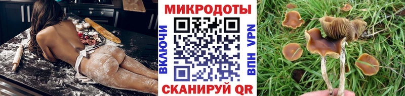 Псилоцибиновые грибы Cubensis  купить наркотики цена  Давлеканово 